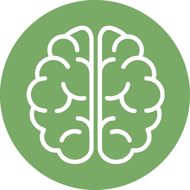 Schaltfläche Schnellnavigation Fakten